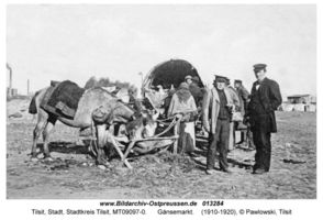 Tilsit, Stadt, Stadtkreis Tilsit 