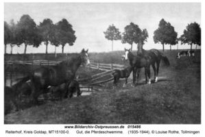 Reiterhof, Kreis Goldap 