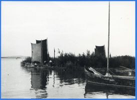  Kurische Nehrung, Kähne im Schilf Kurische Nehrung, Fischerei