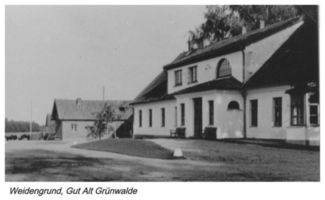 Weidengrund, Kreis Gumbinnen 