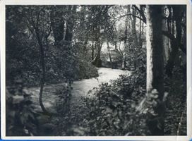 Königsberg (Pr.), Stadtkreis Königsberg Königsberg, Park Luisenwahl IV Königsberg, Stadtteil Mittelhufen