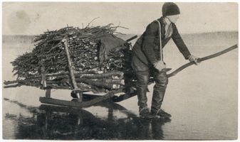  Kurisches Haff, Transport von Brennholz vom Festland über Eis Куршский залив, перевозка дров с материка по льду