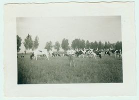 Rosenthal Kr. Gerdauen, Kreis Gerdauen 