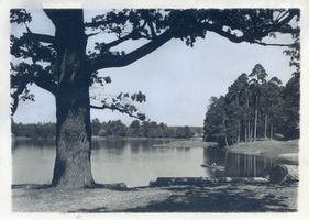  Am Niedersee bei Rudczanny У озера Нидерзе у Рудчаннен
