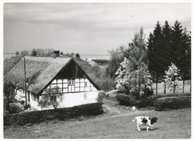 Succase, Kreis Elbing Succase, Elbinger Höhe, Gehöft, Blick auf das Haff Frische Nehrung - Frisches Haff