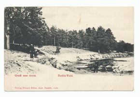 Budda, Kreis Johannisburg Budda, Wald Будда, лес