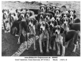 Groß Trakehnen, Kreis Ebenrode 