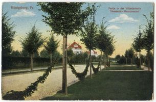 Königsberg (Pr.), Stadtkreis Königsberg Königsberg, Partie in der Villenkolonie Oberteich-Maraunenhof III Königsberg, Stadtteil Maraunenhof