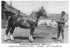 Junkerken, Kreis Rastenburg 