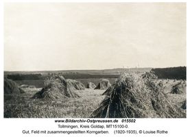 Tollmingen, Kreis Goldap  