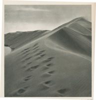  Kurische Nehrung, Rauchende  Düne, durch anhaltenden Ostwind verändertes Profil Kurische Nehrung, Dünen