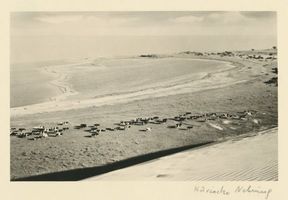  Kurische Nehrung, Kuhherde im Tal des Schweigens IV Куршская коса, коровье стадо в Долине молчания, IV