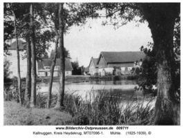 Kallnuggen, Kreis Heydekrug  
