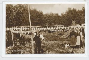 Sarkau, Kreis Samland 