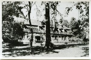 Tharau, Kreis Preußisch Eylau 