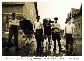 Adlig Linkuhnen, Kreis Elchniederung 