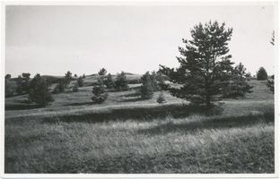 Schwarzort, Kreis Memel Schwarzort, Ausläufer der Reiherberge II Schwarzort, Reiherberge