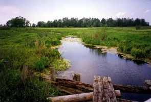 Loye, Ort, Kreis Elchniederung 