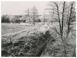  Passarge, Winterlandschaft südlich von Allenstein 
