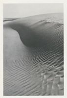  Kurische Nehrung, Dünen, Weite Sandlandschaft auf der langen Flachseite der Düne Куршская коса, дюны, обширный песчаный пейзаж на длинном пологом склоне дюны