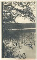  Rominter Heide, Marinowo-See X Rominter Heide, Marinowo-See