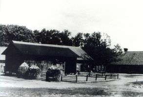 Wargienen Kr. Samland, Kreis Samland 