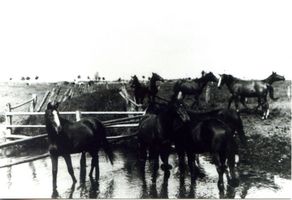 Wargienen Kr. Samland, Kreis Samland 