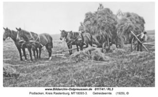 Podlacken, Kreis Rastenburg 