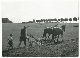 Samland, Bauer beim Pflügen und Eggen Landwirtschaft in Ostpreußen