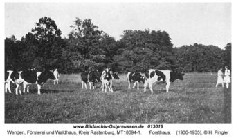 Wenden (Ostpr.), Försterei und Waldhaus, Kreis Rastenburg 