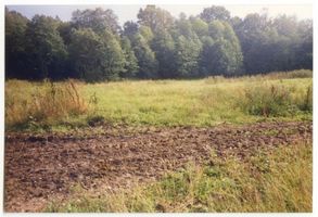 Freiwalde Kr. Wehlau, Kreis Wehlau Freiwalde Kr. Wehlau, Standort des ehemaligen Gutshofes Фрайвальд, район Велау, место бывшей усадьбы
