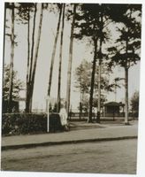Metgethen, Ort und Bahnstation, Stadtkreis Königsberg Adolf-Hitler-Weg Metgethen, Adolf-Hitler-Weg, Südseite des Bahnhofs mit Schalterhäuschen auf Bahnsteig 2 Метгетен, Адольф-Гитлер-вег, южная сторона вокзала с билетной будкой на платформе 2