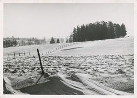Stablack Kr. Preußisch Eylau, Gutsbezirk und Truppenübungsplatz, Kreis Preußisch Eylau Stablack Kr. Preußisch Eylau, Winter in Stablack III 