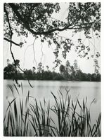  Niedersee, Am Niedersee bei Rudczanny V Masuren, Niedersee