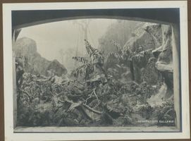 Tilsit, Stadt, Stadtkreis Tilsit 