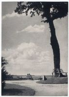 Georgenswalde, Kreis Samland Georgenswalde, Blick auf die Steilküste Георгенсвальде, вид на обрывистый берег