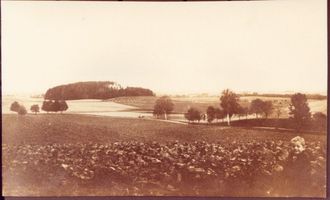  Ebenrode (Kreis), Blick über Berg Horeb auf den Schwarzen Wald Эбенроде (район), вид через гору Хореб на Чёрный лес
