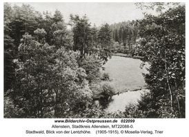 Allenstein, Stadtkreis Allenstein  Allenstein, Stadtwald