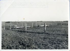 Auenhof, Kreis Gumbinnen Purpesseln, Wiese des Gutes 
