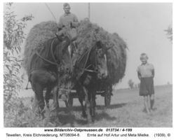 Tewellen, Kreis Elchniederung 