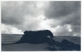  Kurische Nehrung, Dünen bei Nidden, vom Wind aus Sand geformter Erdhügel Nidden, Landschaft - Ostsee - Umgebung