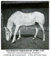 Gilkendorf, Kreis Elchniederung 