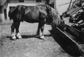 Johannisburg, Kreis Johannisburg 