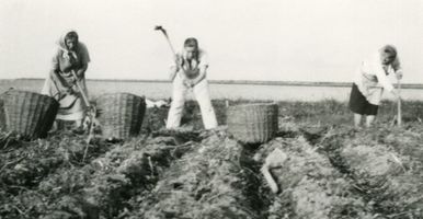 Johannisburg, Kreis Johannisburg Abbau 26