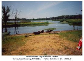 Skirwiet, Kreis Heydekrug 