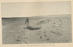 Nidden, Kreis Memel Nidden, Ausgewehter Friedhof von Alt-Nidden Нидден, развеянное ветром кладбище Старого Ниддена
