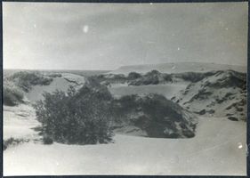  Kurische Nehrung??, Dünenlandschaft IX Куршская коса??, дюнный ландшафт IX