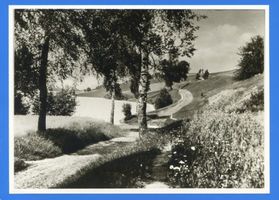  Lyck (Kreis) Masurische Landschaft 