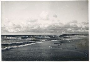  Frische Nehrung, Strand III Frische Nehrung - Frisches Haff