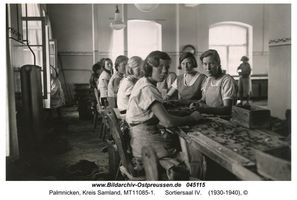 Palmnicken, Kreis Samland 